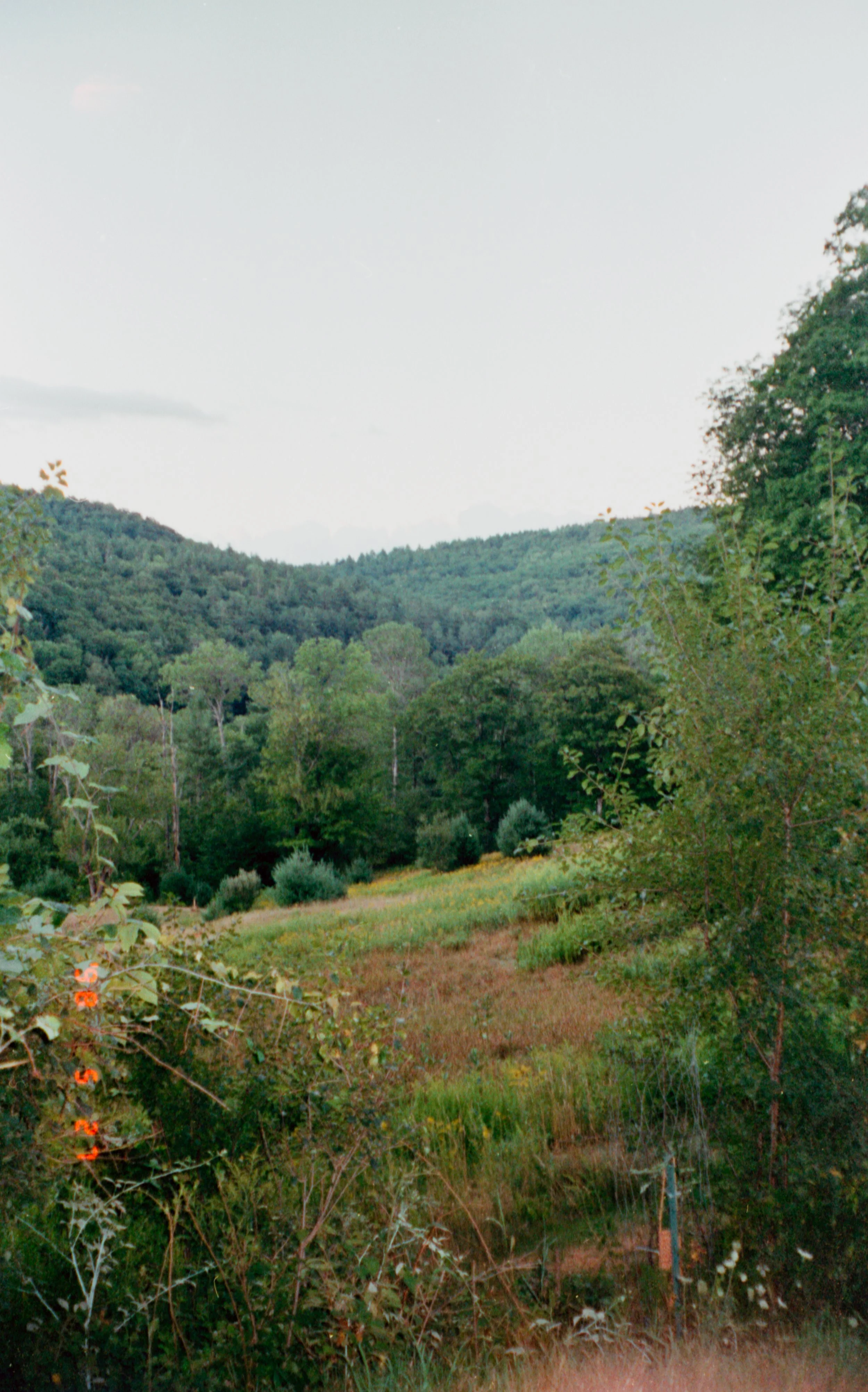 img027.jpg
