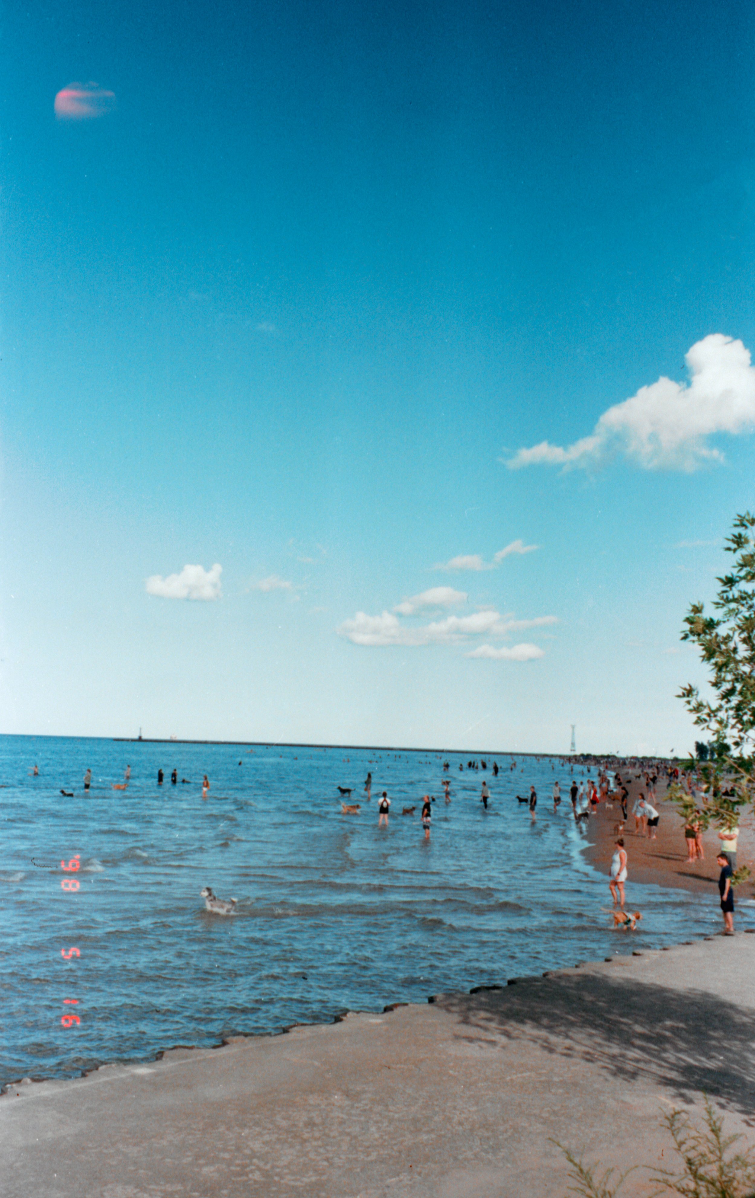 img017.jpg