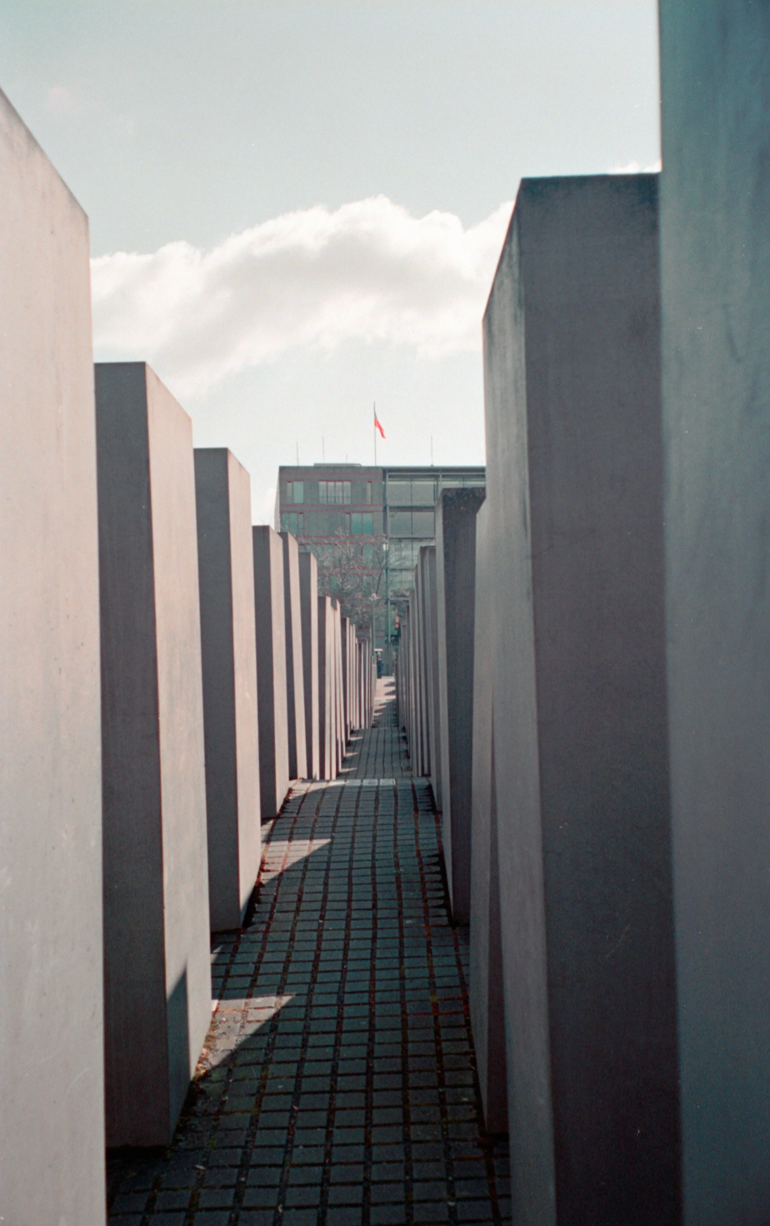 111111 (5 of 12).jpg