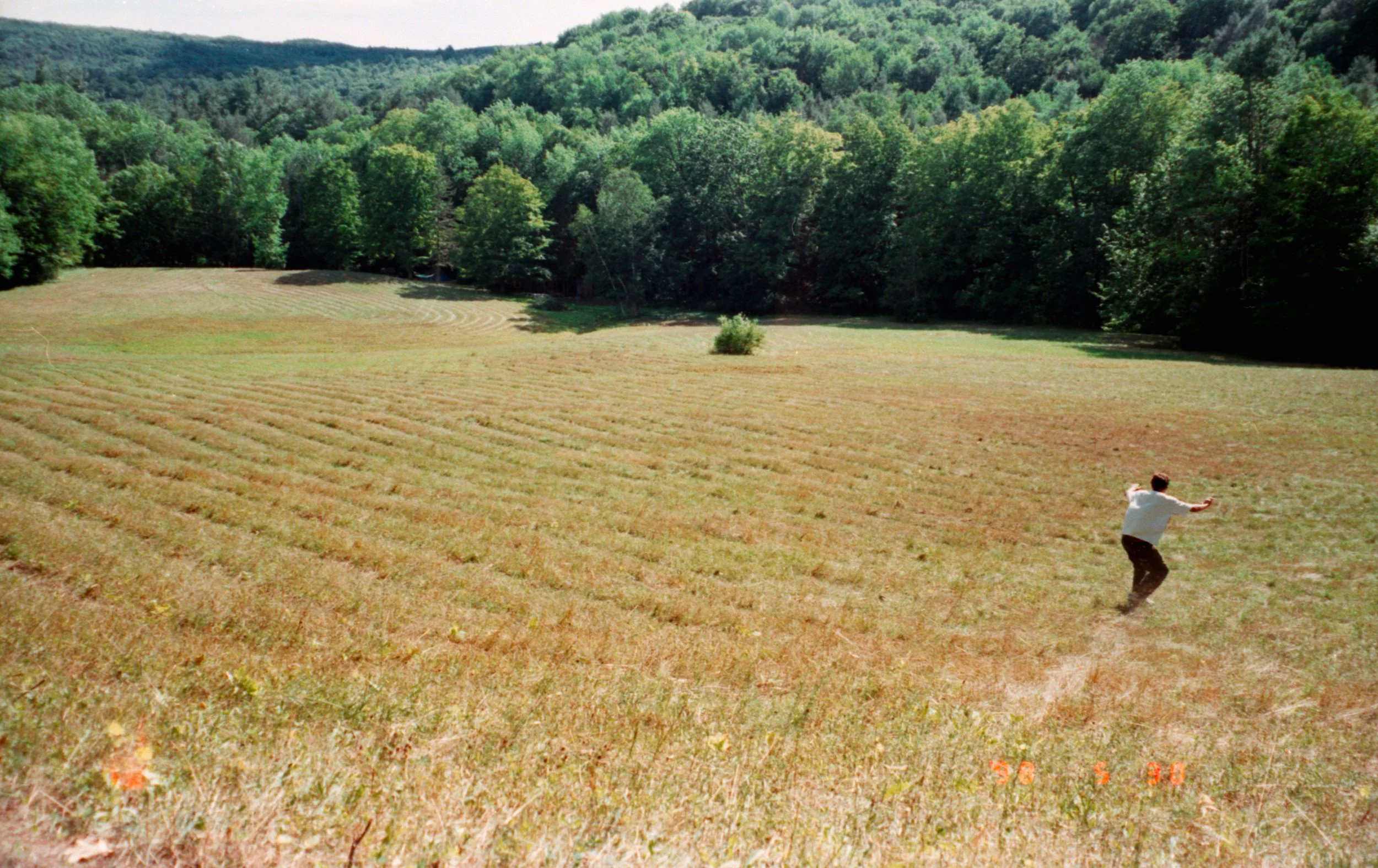 img026.jpg