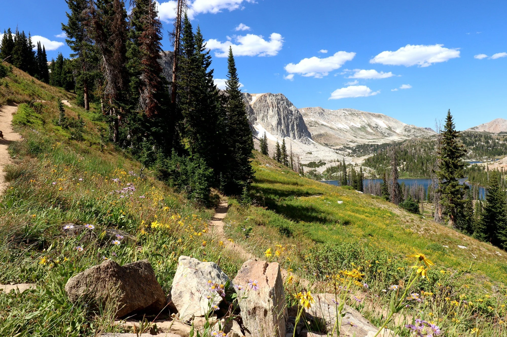 A trail through wildflowers, a lake below, and nowhere to be until dark. (Snowy Range, WY)