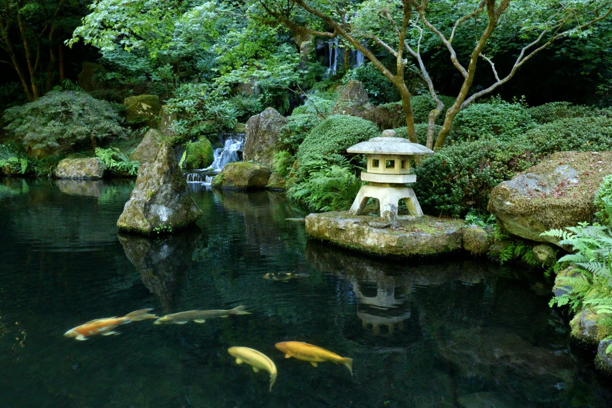 The quietest photograph I own. (Portland Japanese Garden, OR)