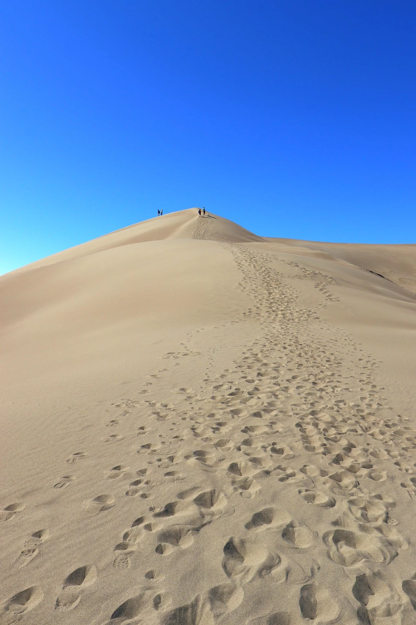 Footprints to the top of the tallest dunes in North America. (Great Sand Dunes NP, CO)