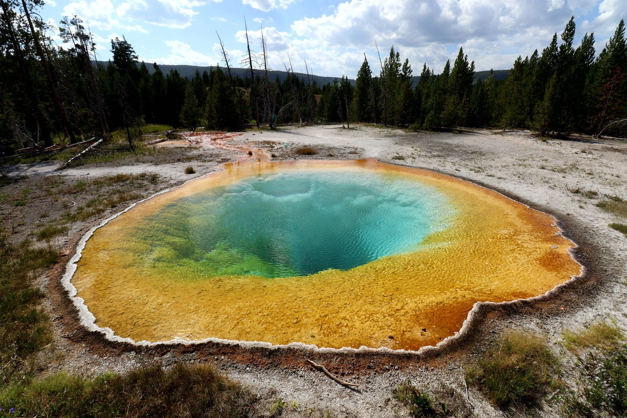 Yellowstone does colors no filter would dare. (Morning Glory Pool, Yellowstone NP, WY)