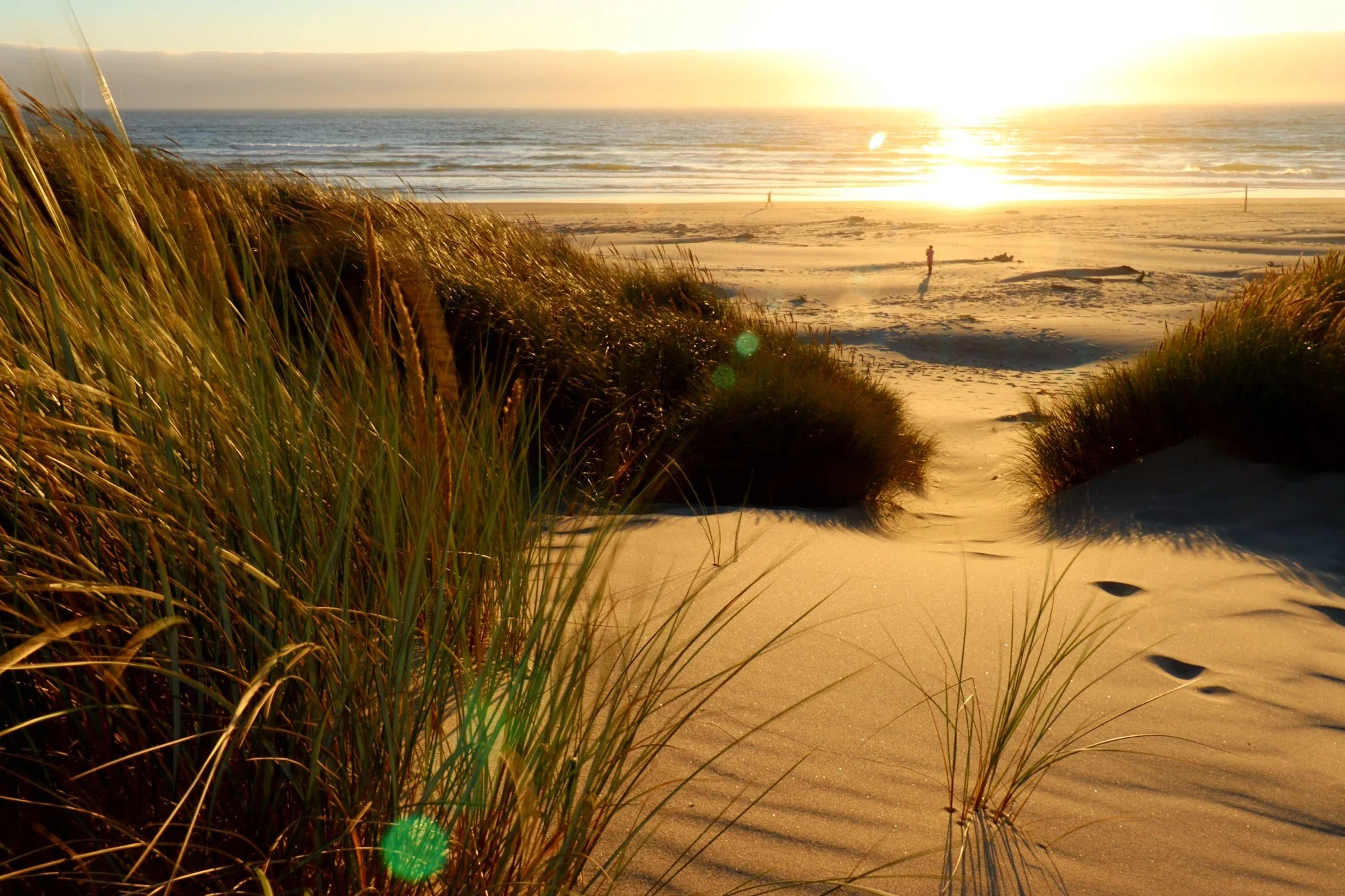 Last light through the beach grass, tide going out. (Oregon coast)
