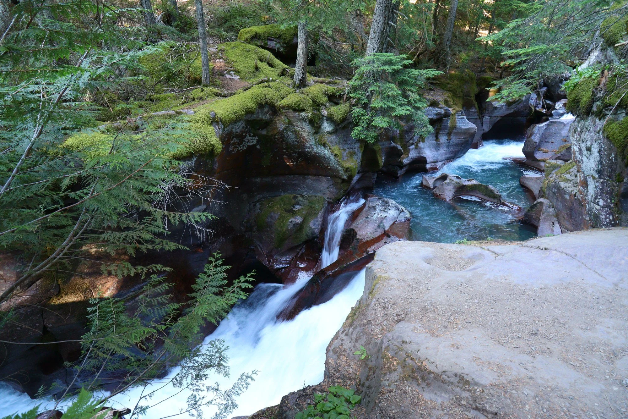 Turquoise water cutting through moss and red rock. (Avalanche Creek, Glacier NP, MT)