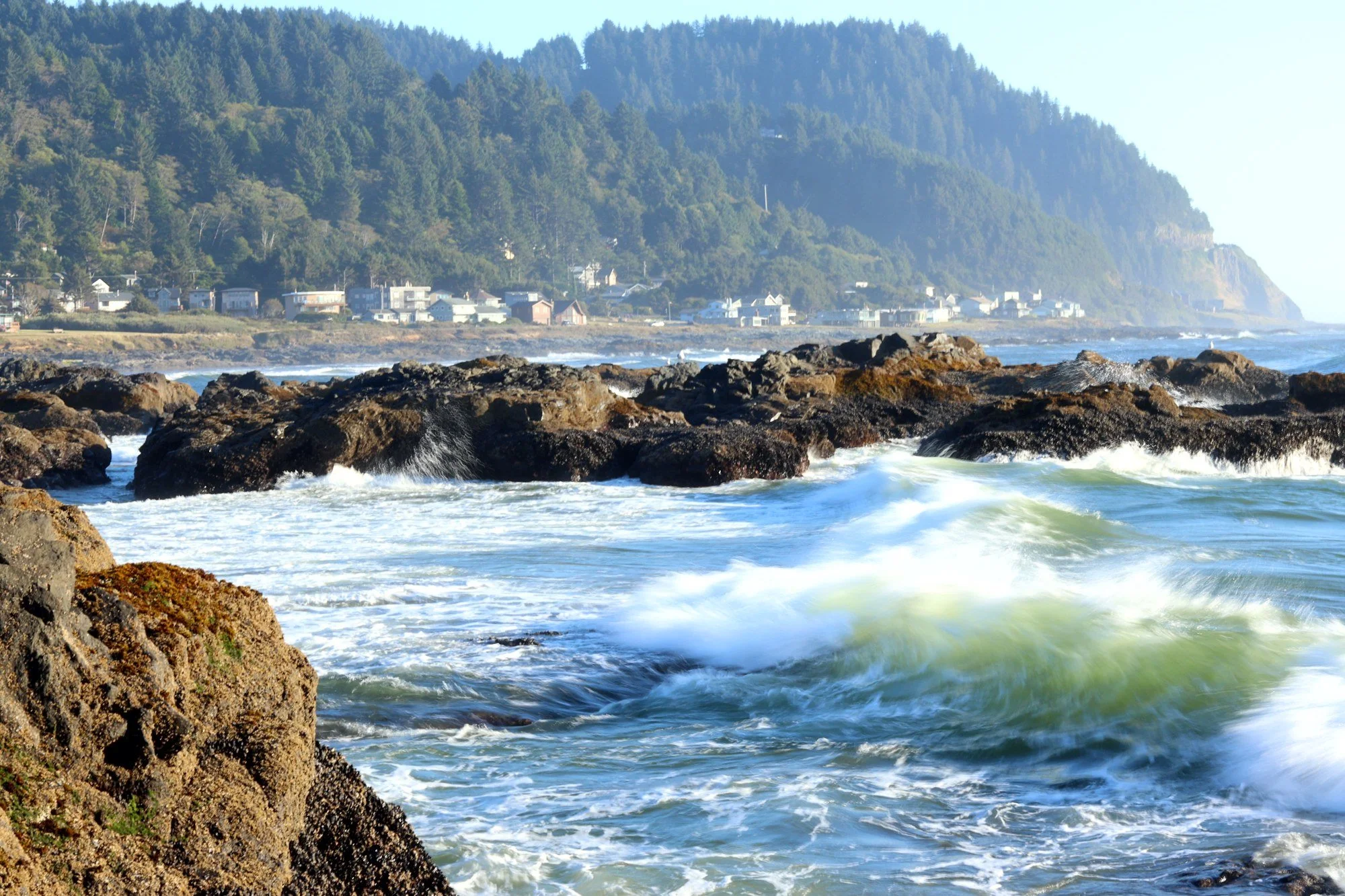 One wave, caught mid-curl, with the whole town watching from the headland. (Yachats, OR)