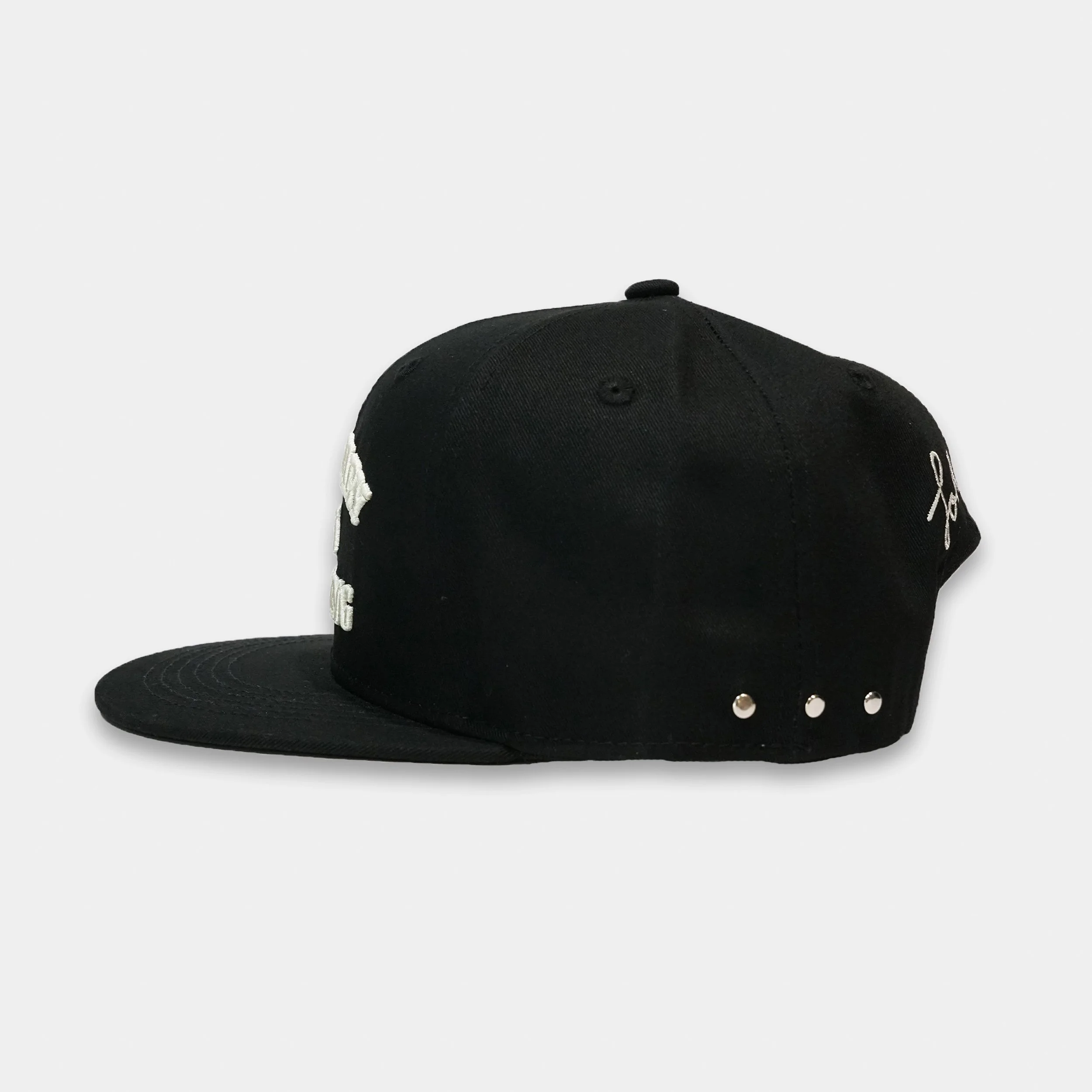 LRH 6 panel side.jpg