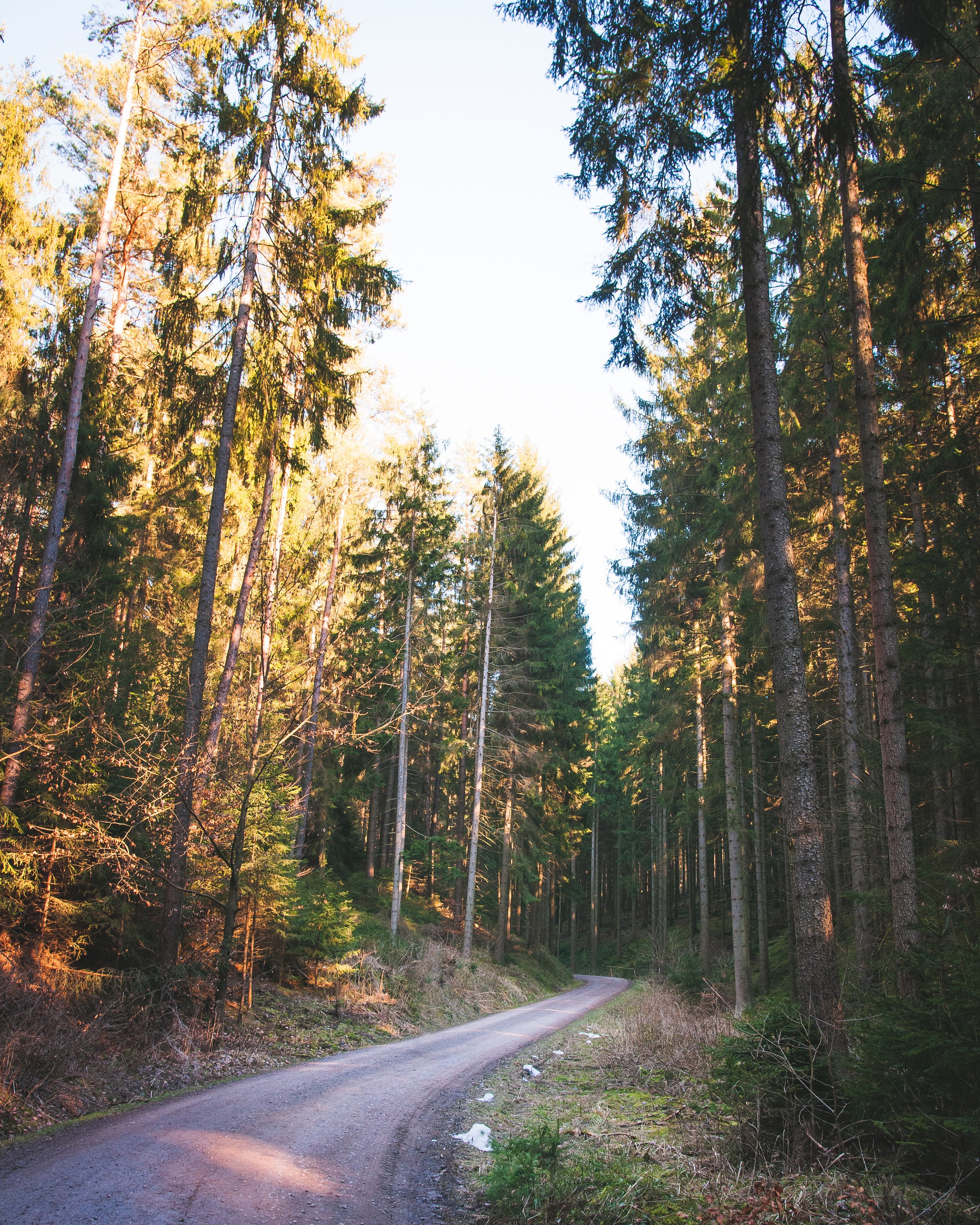 DSC_4666.JPEG