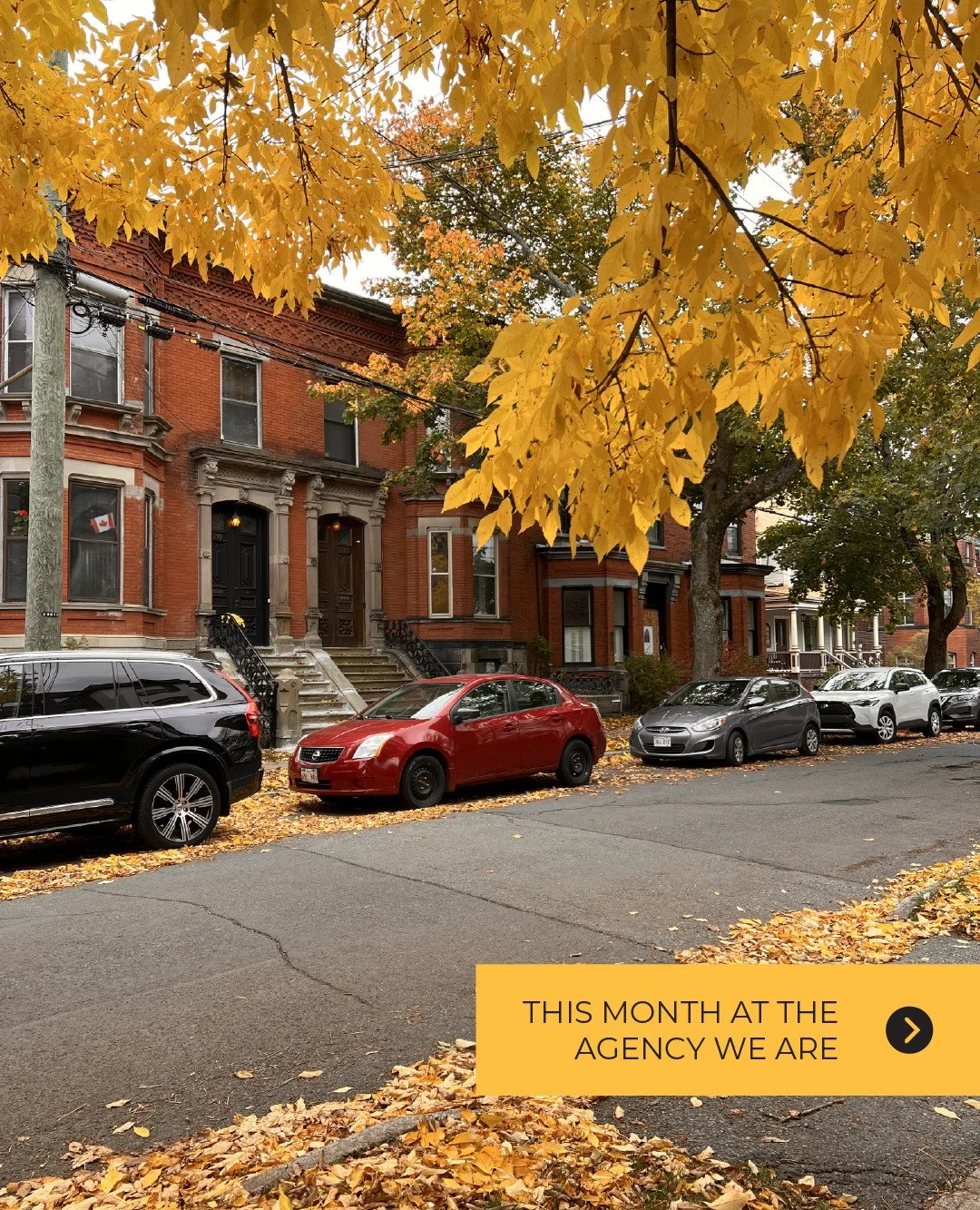 N O V E M B E R at the agency:

🧊 Celebrating 2 awards!
🤝 Bringing in some new business.
🧮 Calculating budgets to actuals.
📆 Filling a content calendar.
❤️ Pausing to remember.