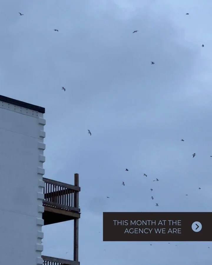 D E C E M B E R at the agency:

📊 Designing charts and tables
🤖 Playing with marketing automation 
📺 Buying some media
✨ Getting our Sparkle-on
🪩 Celebrating another great year!