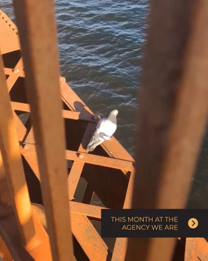 A P R I L at the agency:

🏙️ Setting up a Toronto office
🎤 Bringing Scott Galloway to Saint John for a speaking gig
✈️ Heading to Cannes for the Lions!
😉 And celebrating a special holiday!