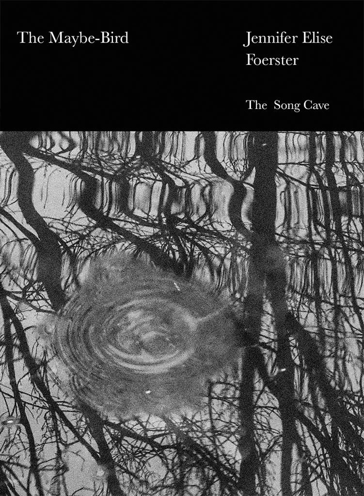 Jennifer Foerster's new collection of poetry The Maybe-Bird has been published through The Song Cave.