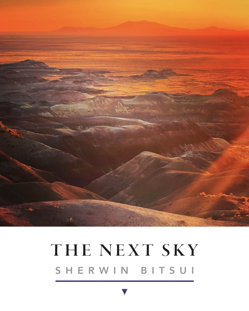 The Next Sky
