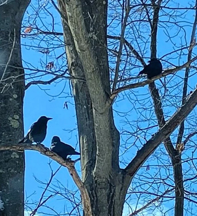 What the Season Teaches