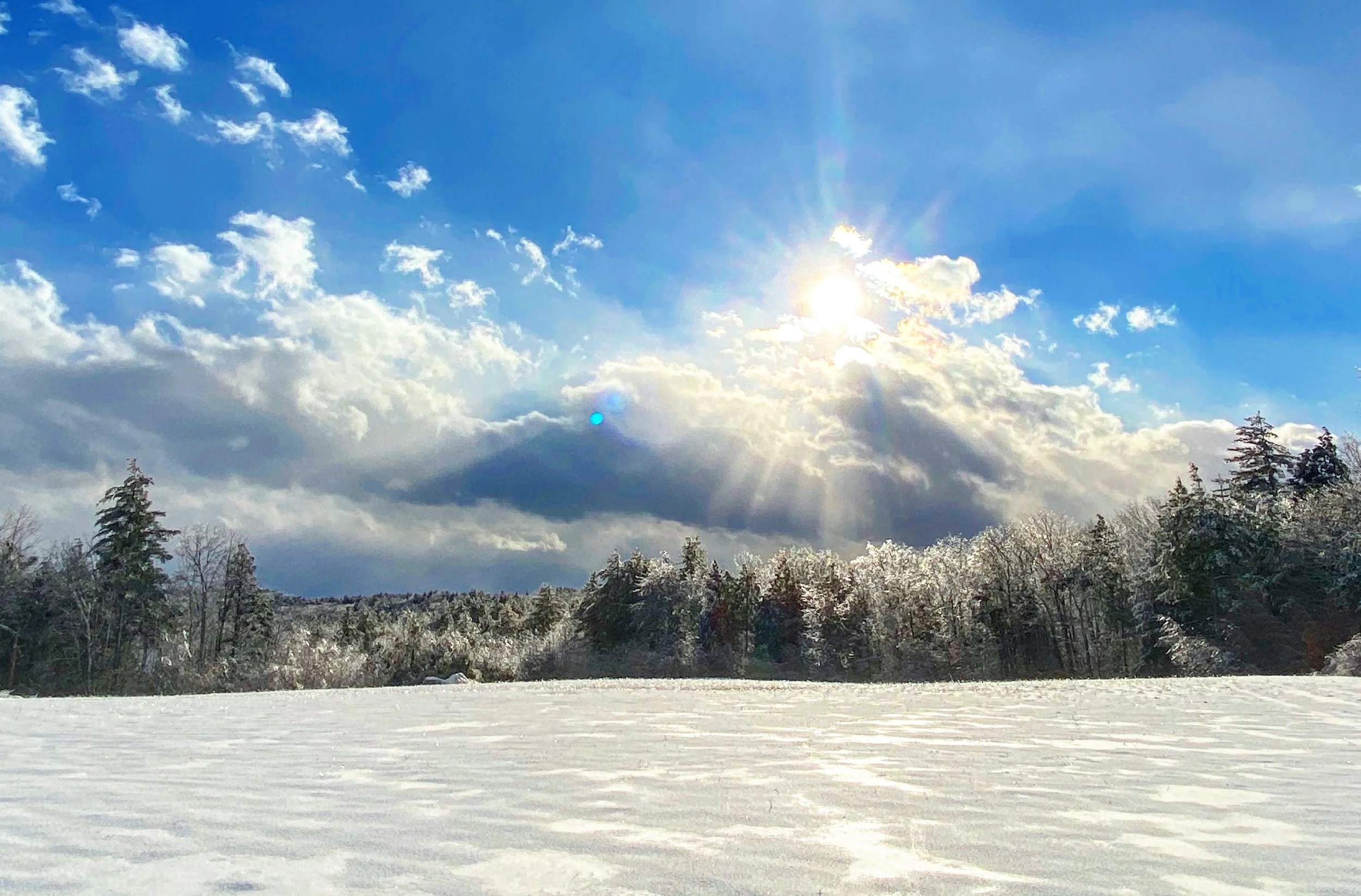A Grounding for Tender Hearts in Loud Times