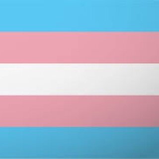 Today is International Transgender Visibility Day! 

📷 from @pinkmantaray 

A day to celebrate the identity and diversity of our community, like we should every day! 🏳️&zwj;🌈🏳️&zwj;⚧️

To everyone in the trans community, be proud and celebrate! 
