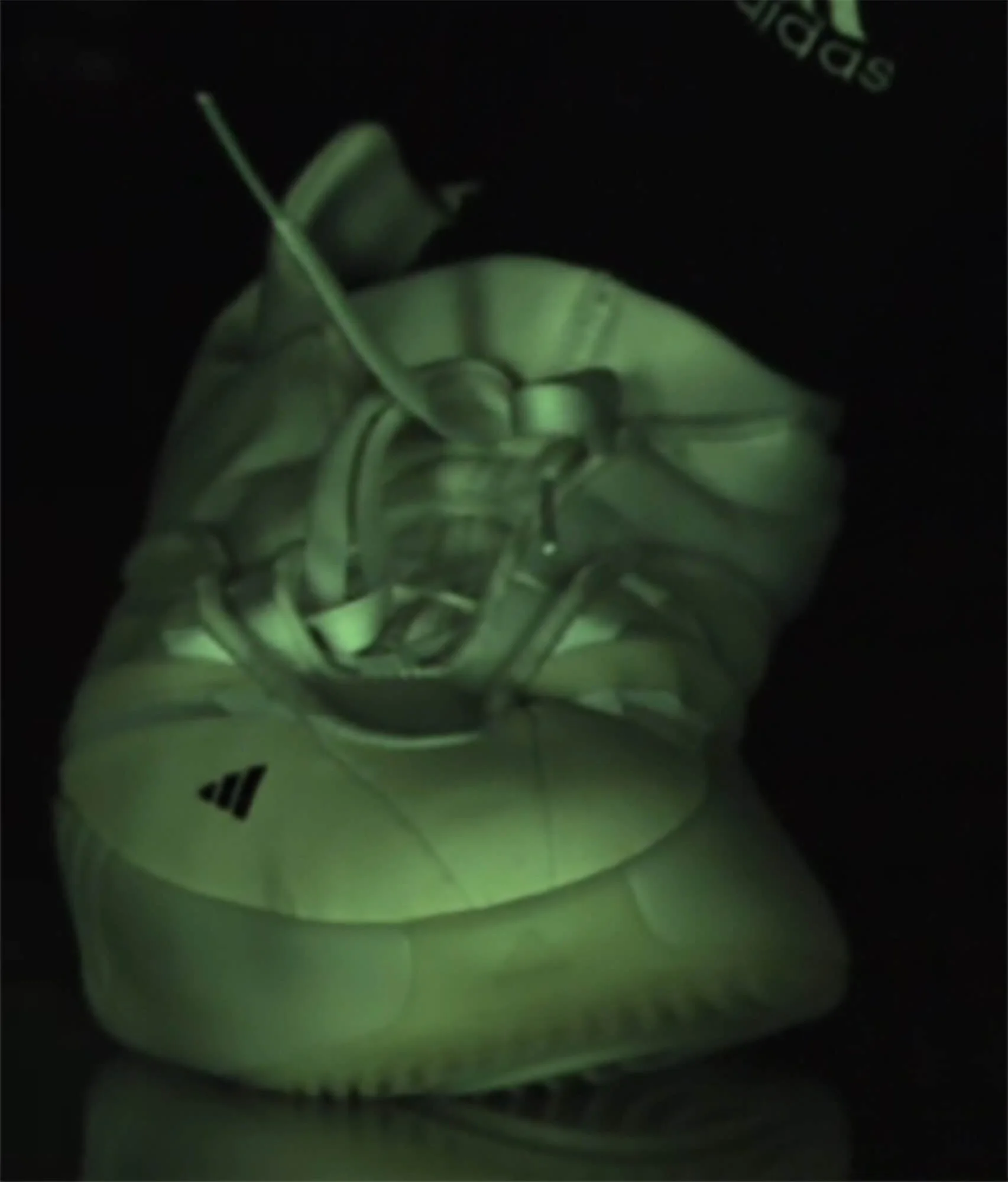 Men’s Sneakers - Drew Little - 009 Adidas Dame 9.jpg