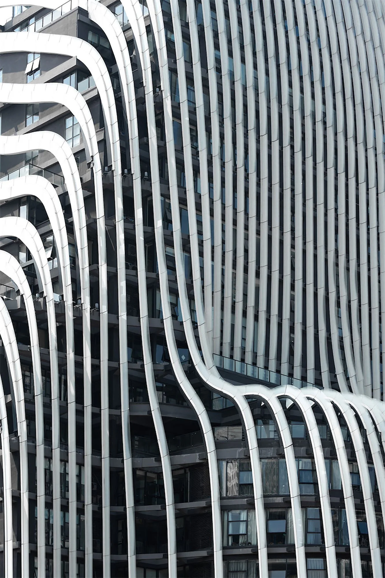 Men’s Sneakers - Drew Little - 028 Adidas Dame 10.jpg