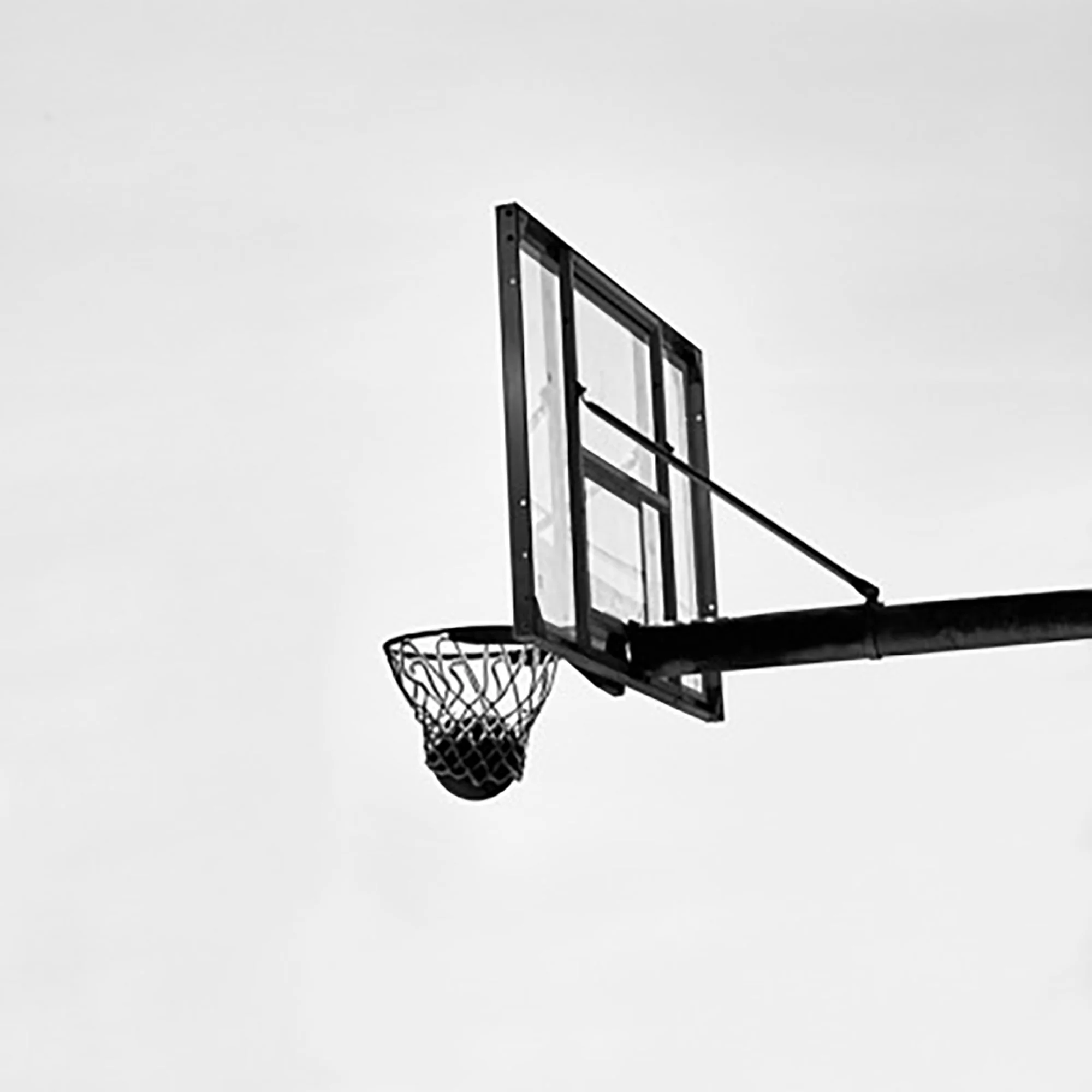 Men’s Sneakers - Drew Little - 044 Adidas Dame 10.jpg