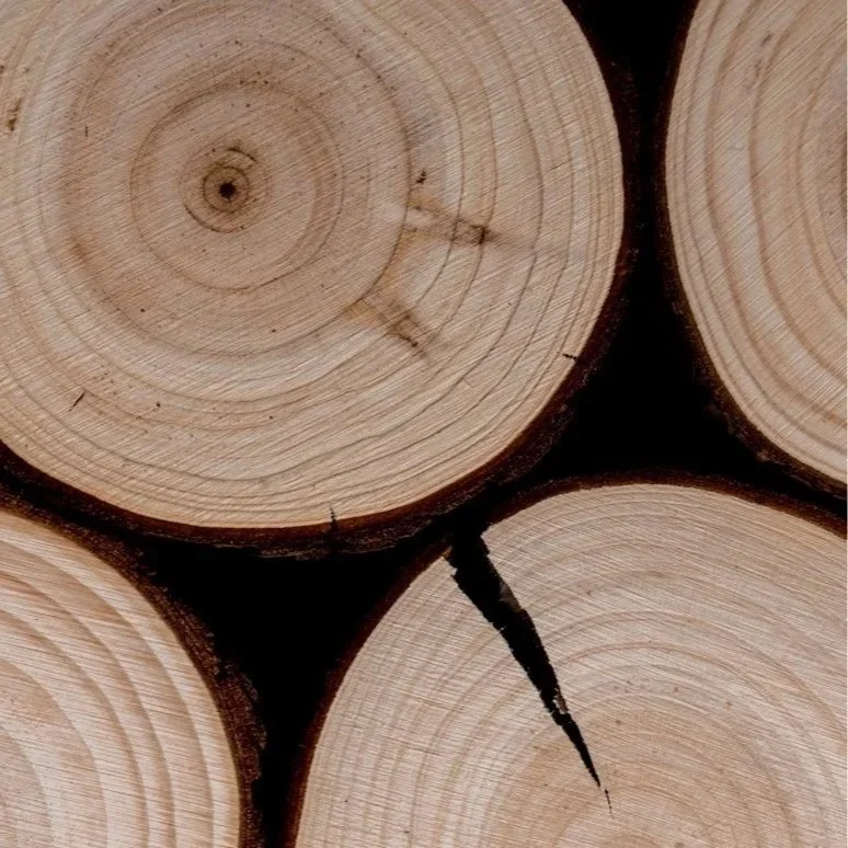 Concentric Support Leads to Strength