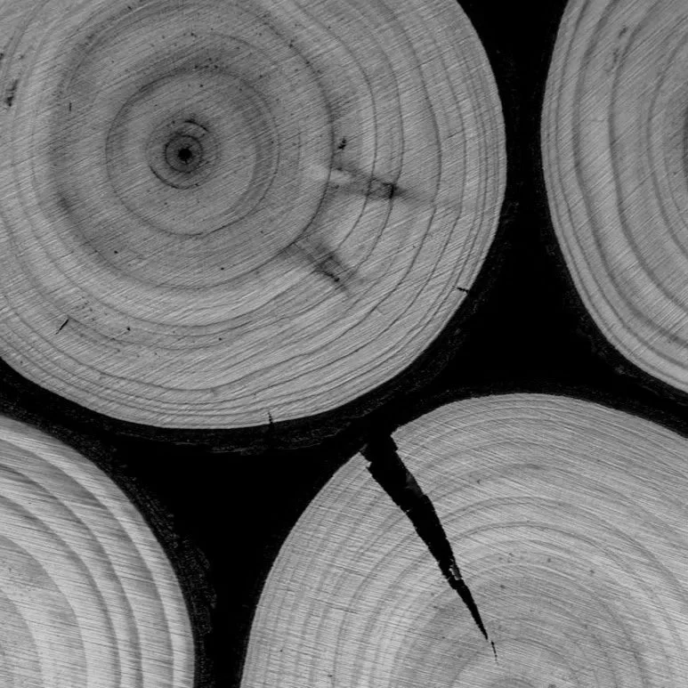 The Content Of Each Circle