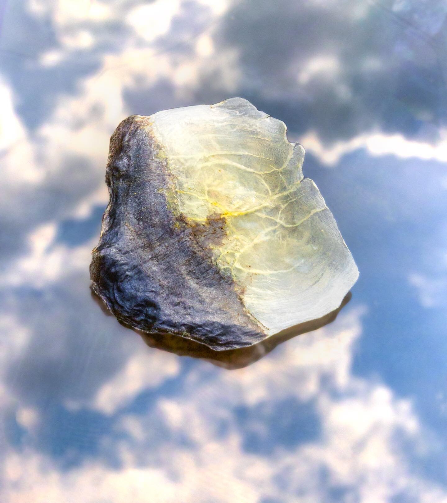 What’s your dream fishing trip?