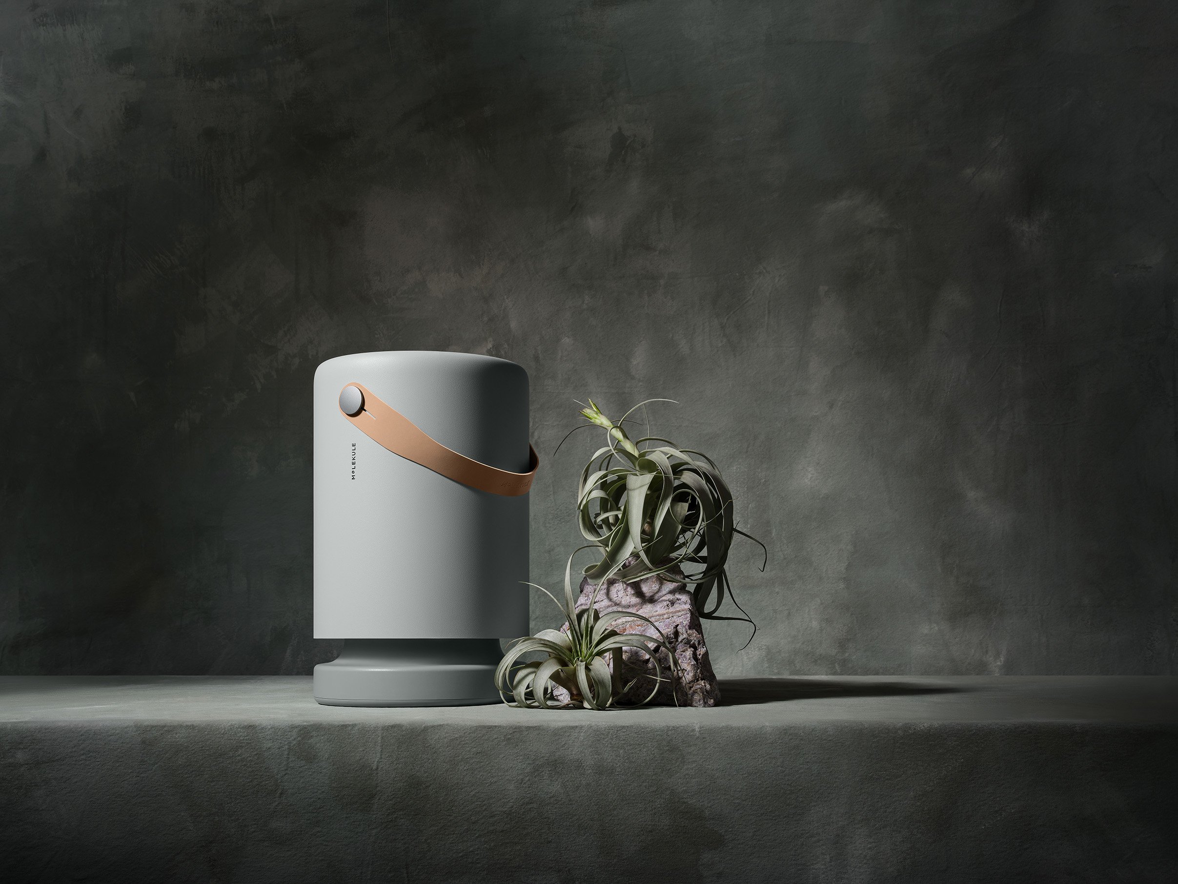 Molekule_07_20_26_Fog_Hero_001.jpg