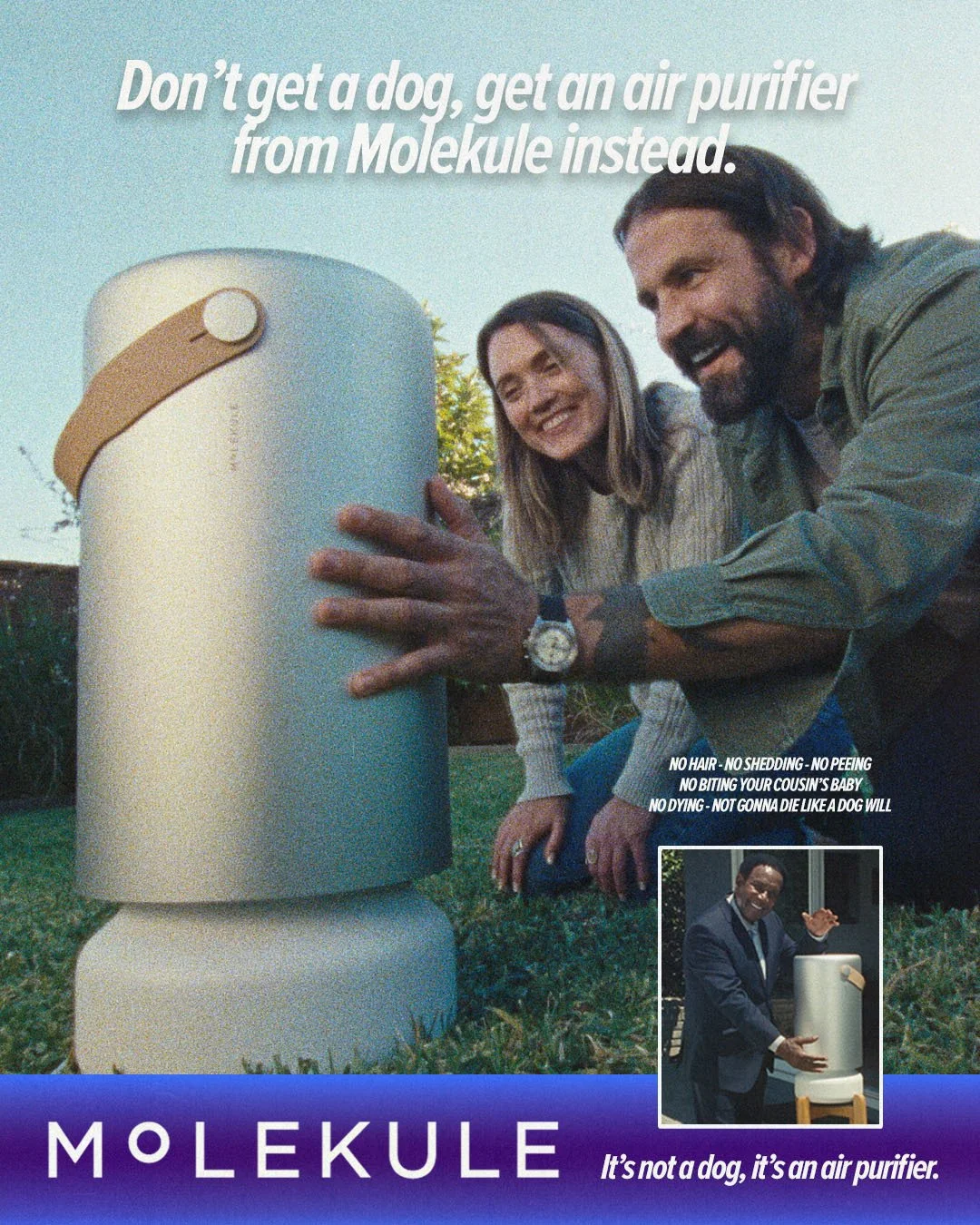 MOLEKULE-Statics-1.jpg