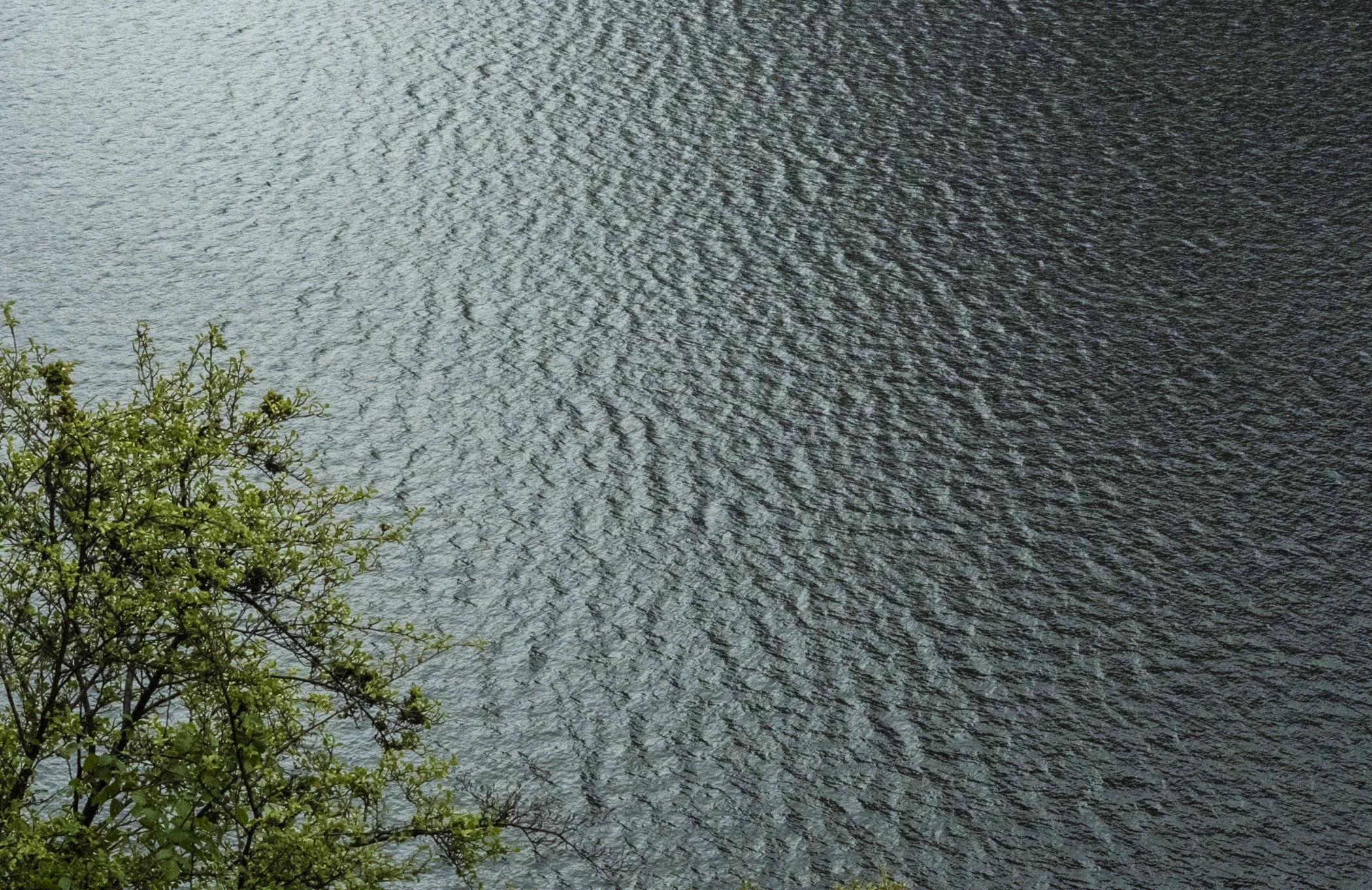 Pirr 
(Scots/Shetland origin) Pronounced: pir or pirr — It refers to a very light breeze or ripple of wind on the water.