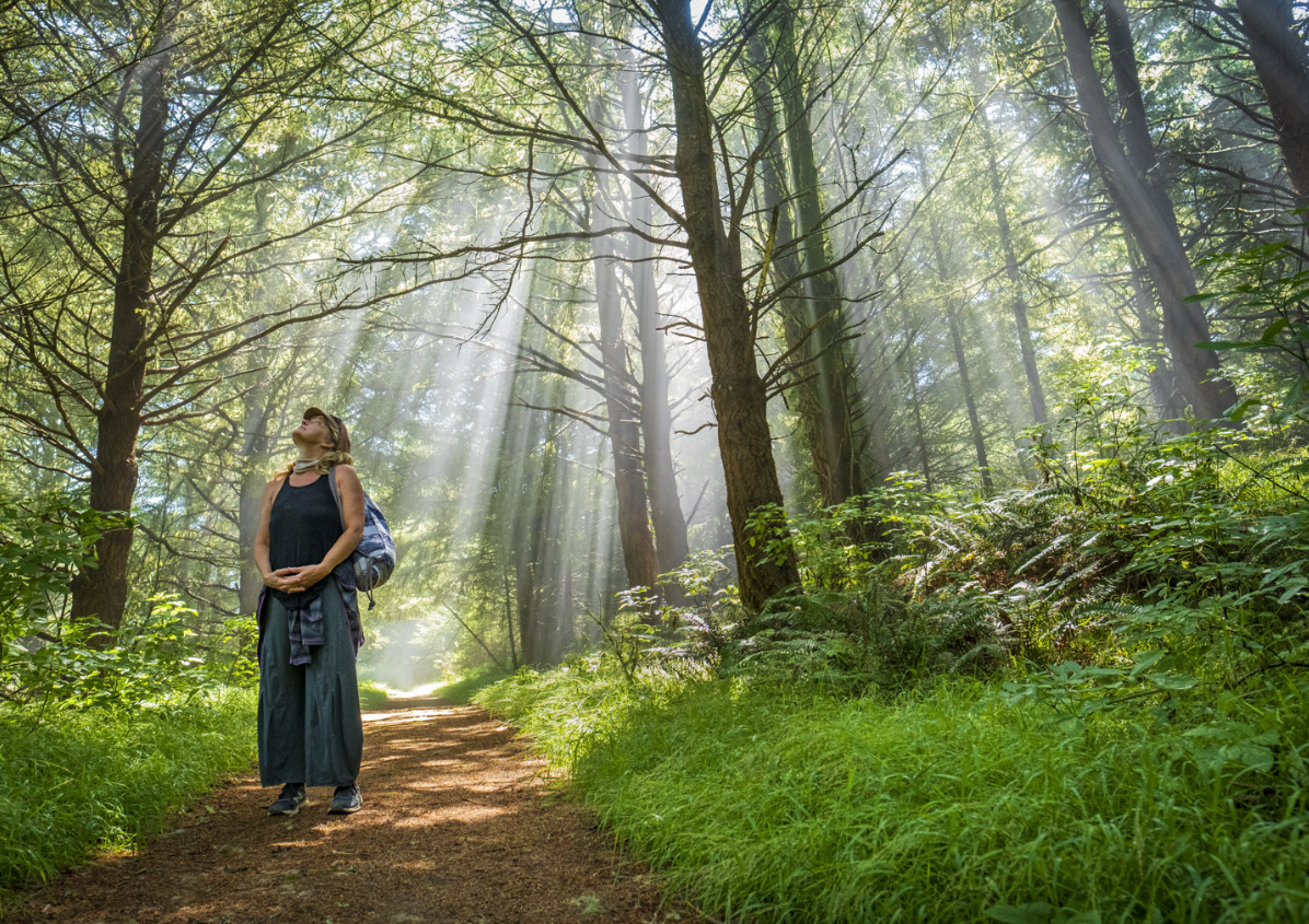 Waldeinsamkeit 
(German origin) Pronounced: valt-INE-zahm-kite
 The feeling of being alone in the woods—especially a quiet, peaceful, slightly mystical solitude.
