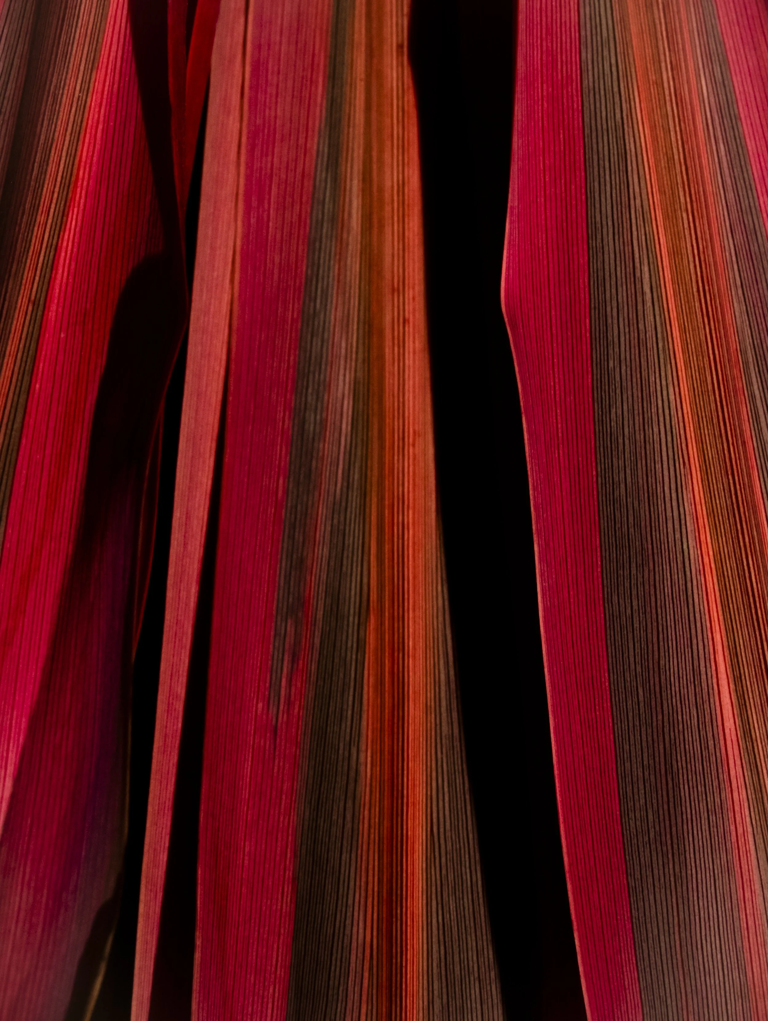 DSCF3543.jpg