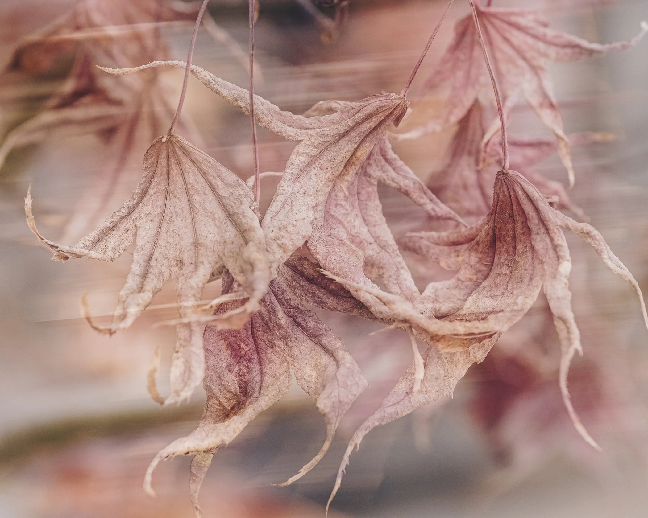 DSCF9619.jpg