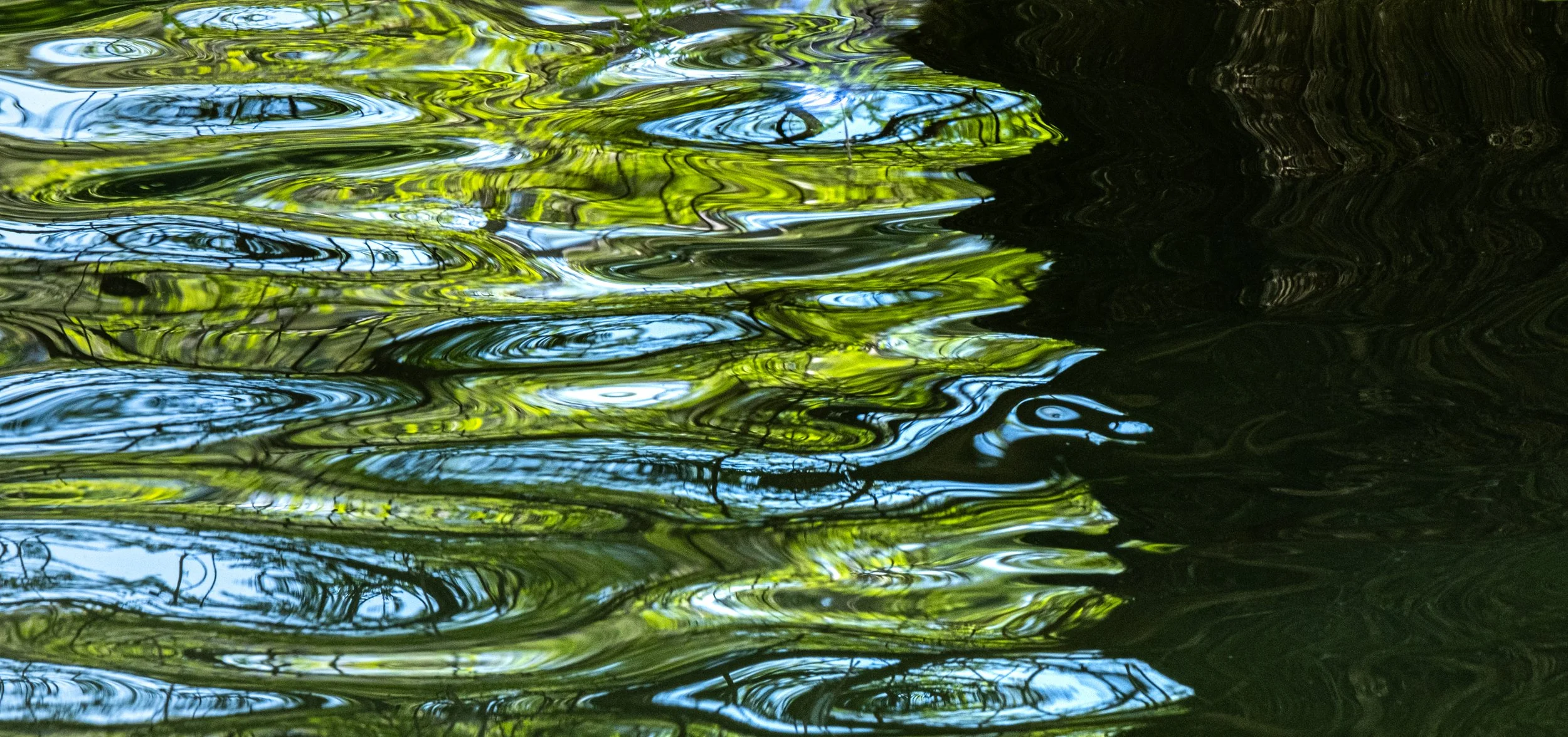 Summer Ripples