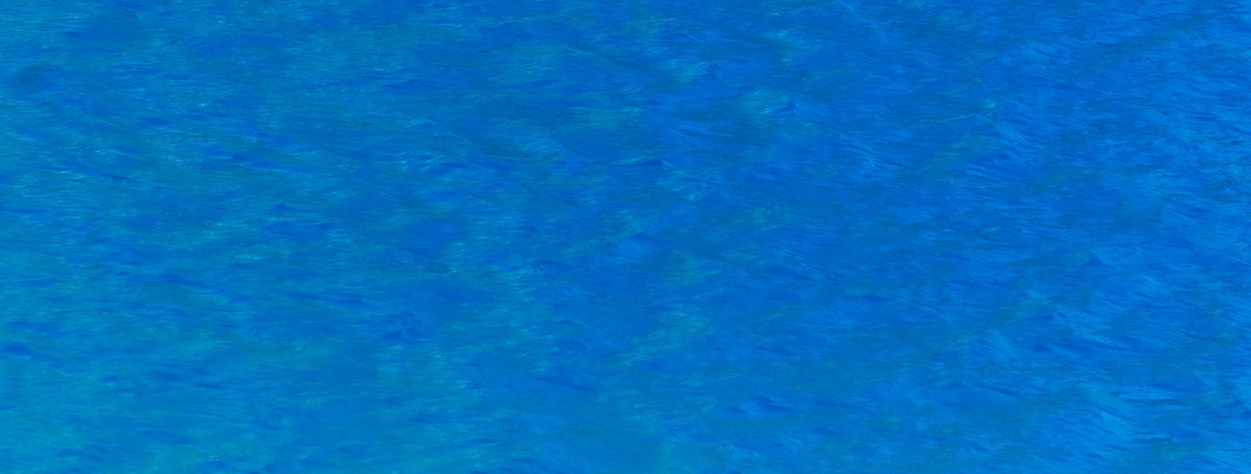 DSCF6285.jpg