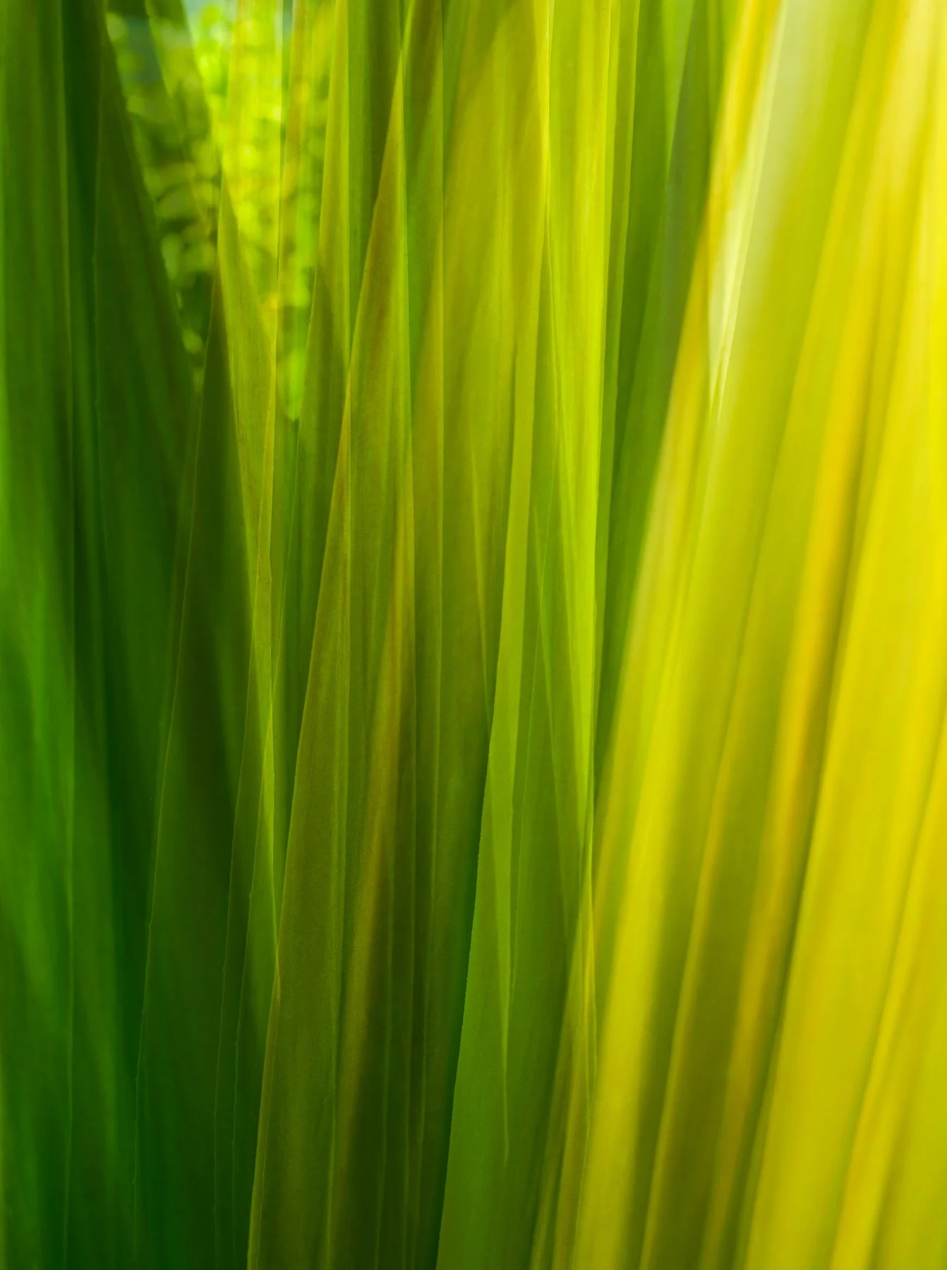 DSCF6316.jpg