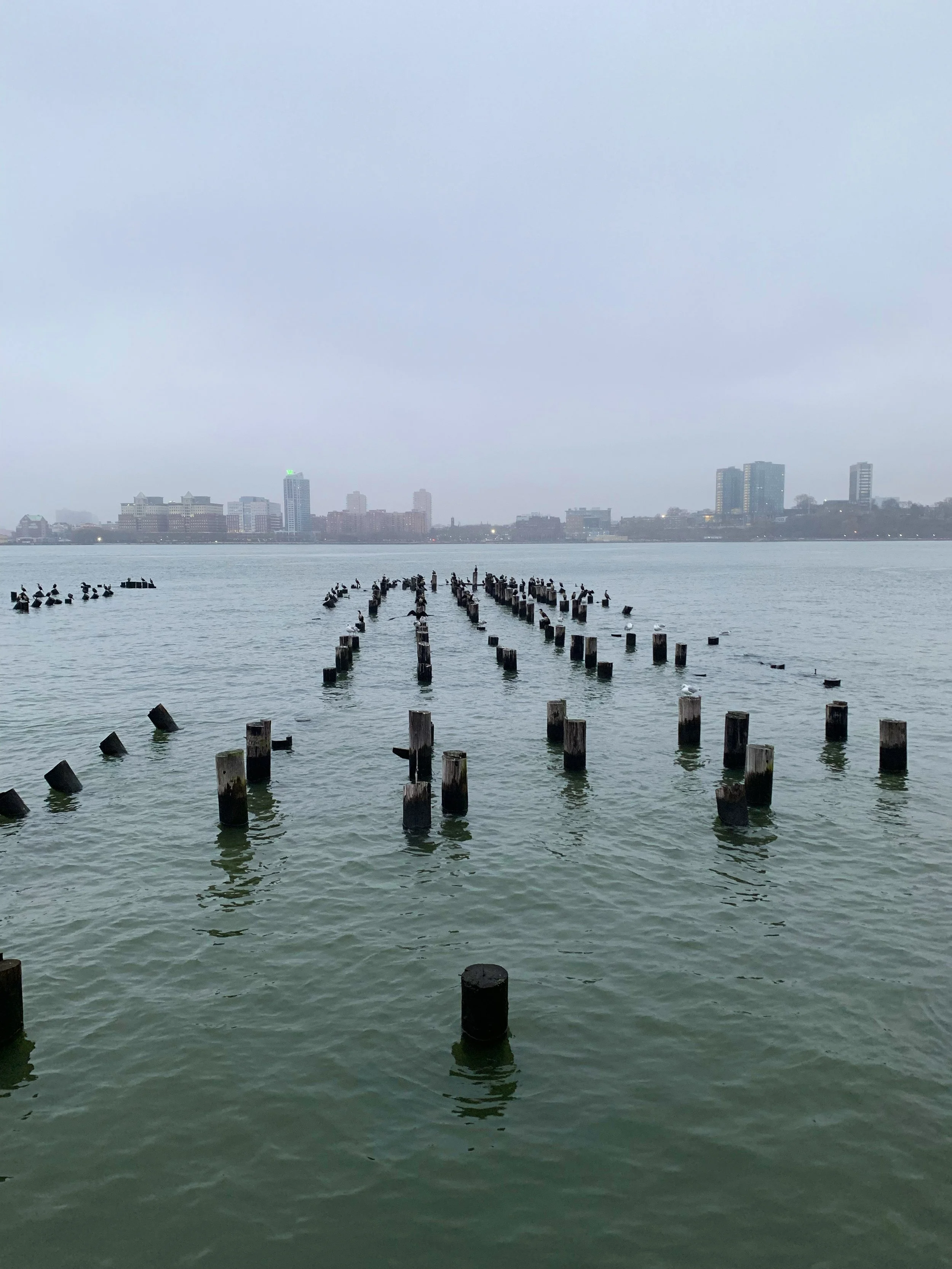 NYC.jpg