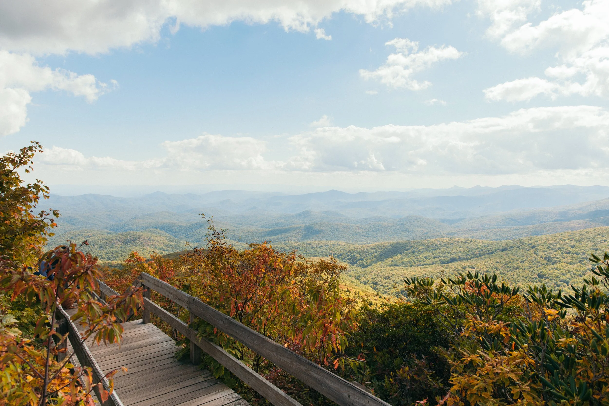 Rough Ridge-2.jpg