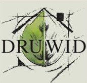 Druwid