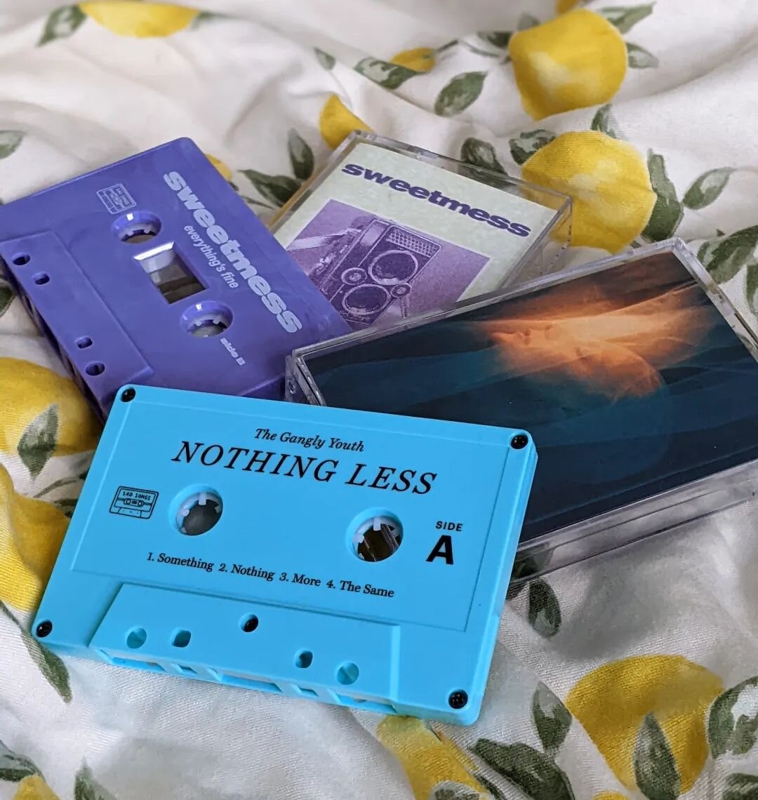 A couple of killer releases for the summer

🏄

#tapes #emo #musicrecommendations
