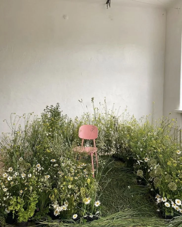Pink chair placed among green plants and white daisies inside a room with white walls and a window.