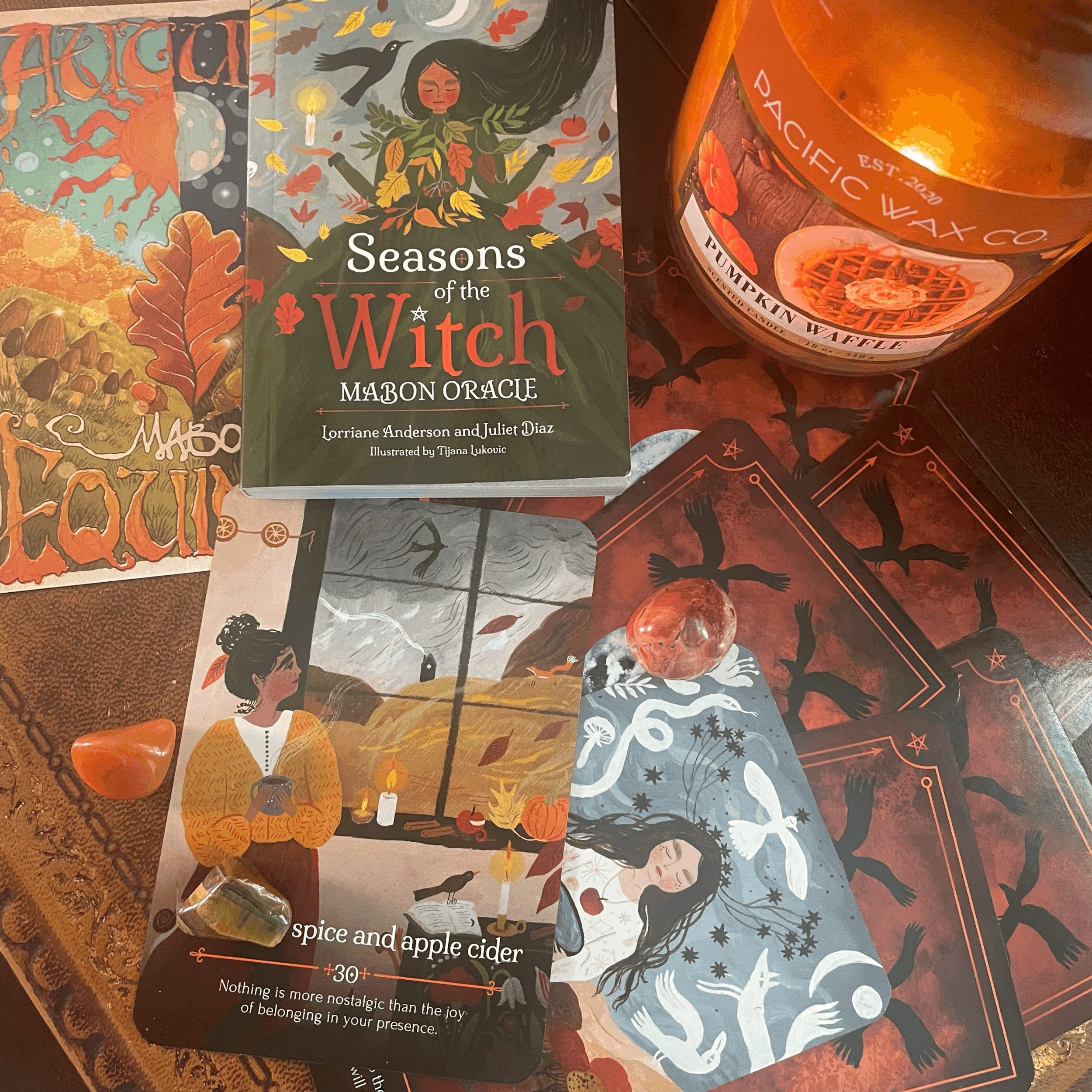 Season of The Witch Oracle Readings ✨
