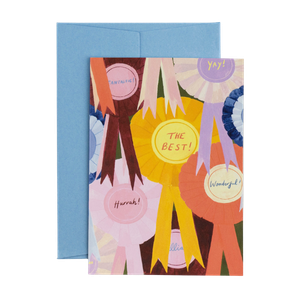 A colorful award certificate with ribbons on a blue folder background.