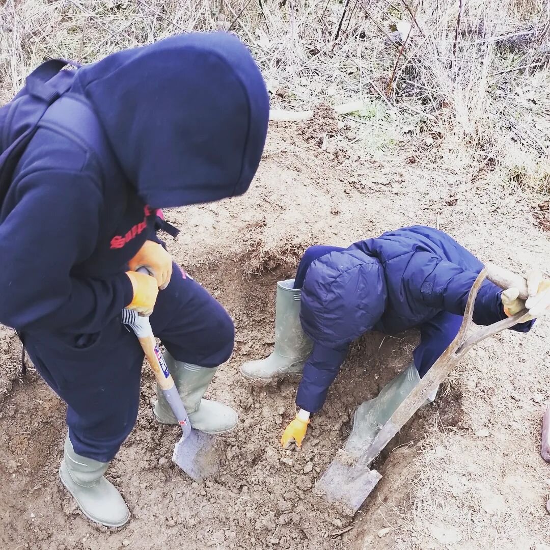 * D I G G I N G *&nbsp; Throughout all our sites, whatever the age, the children we work with LOVE digging! Due to the level of interest in this activity, we have decided to create stag beetle loggeries which require a significant amount of digging. 