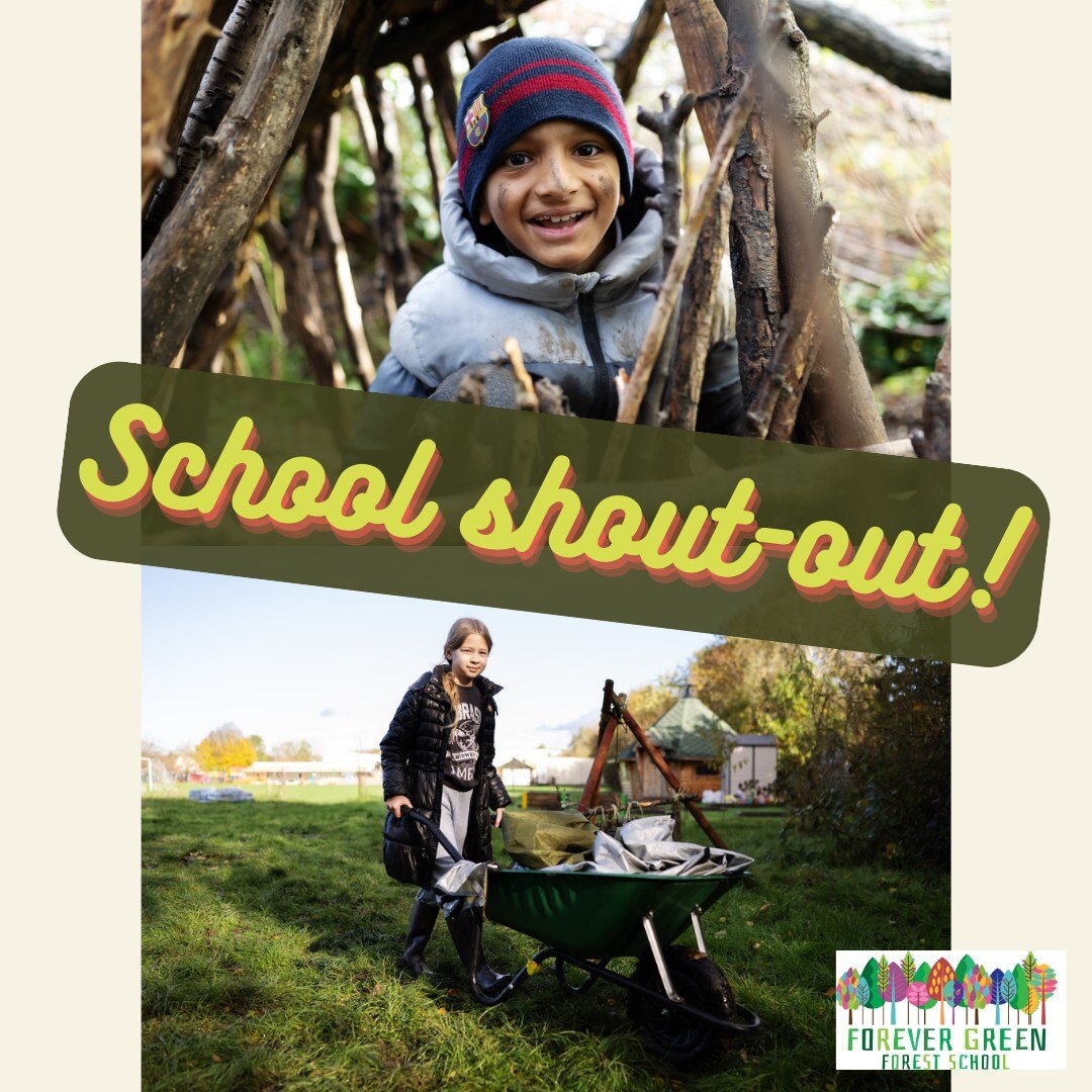 School shout-out! Are you interested in having Forest School sessions delivered to your students? We have some availability for the next school year starting September 2023.

We provide long term programs for primary and secondary schools, check out 