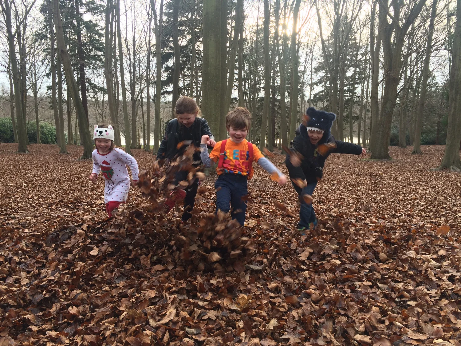 Forever Green Forest School Team — Forever Green Forest School