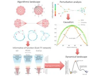 Our New Paper Published In Iscience (Cell Press) Lays Out The Foundations Of Our Technology