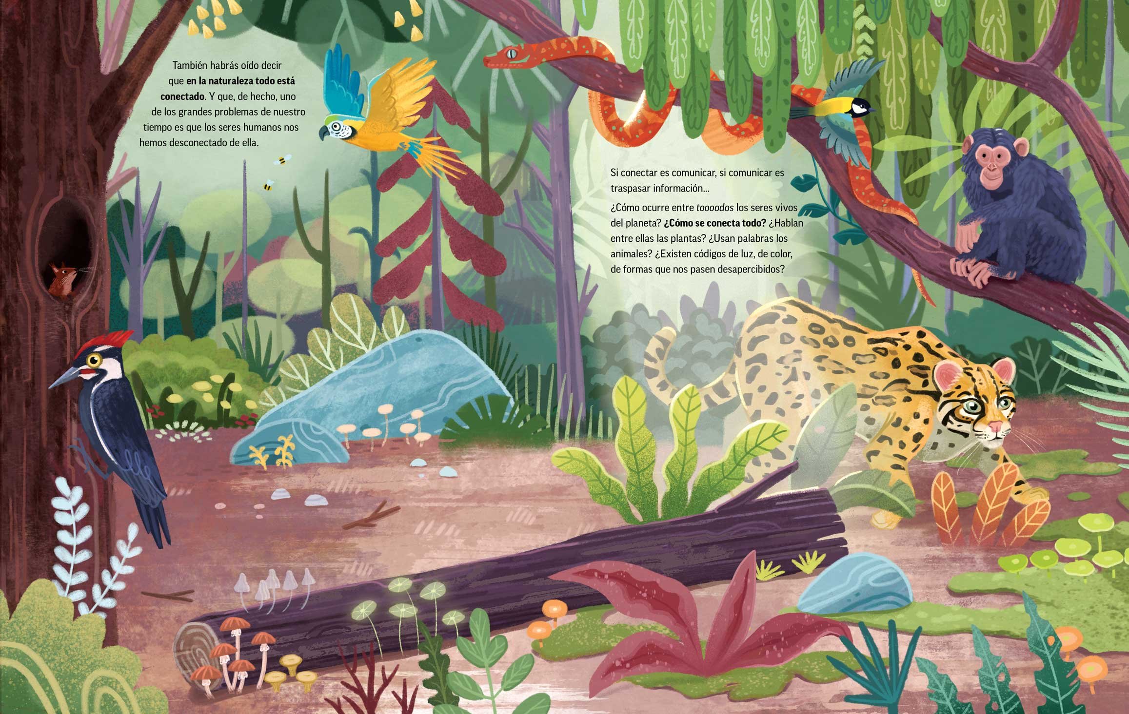 asia_orlando-illustrated-book_nature-animals_spread 1.jpg