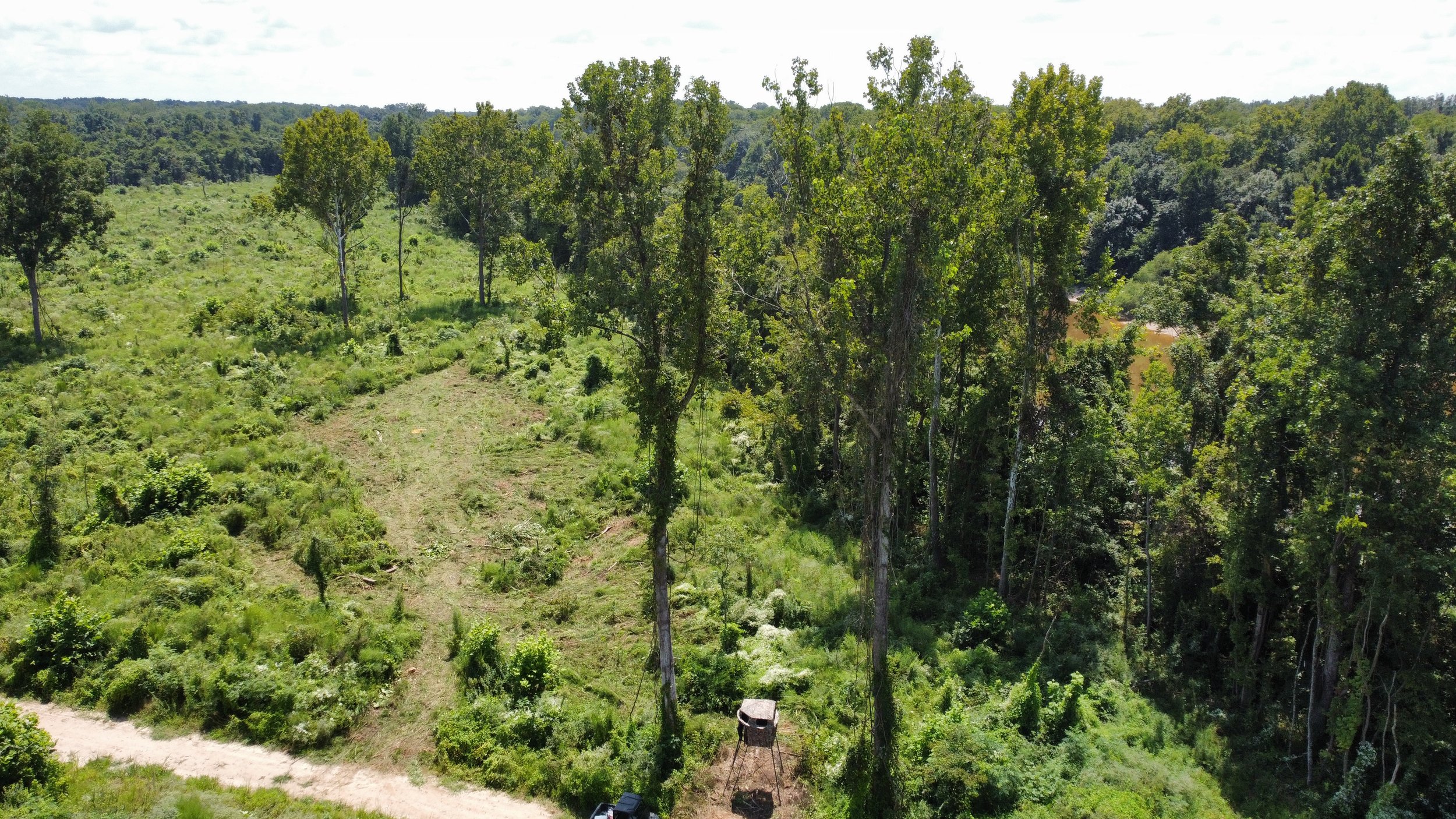 dji_fly_20220827_131156_77_1661620402414_photo_optimized.jpeg