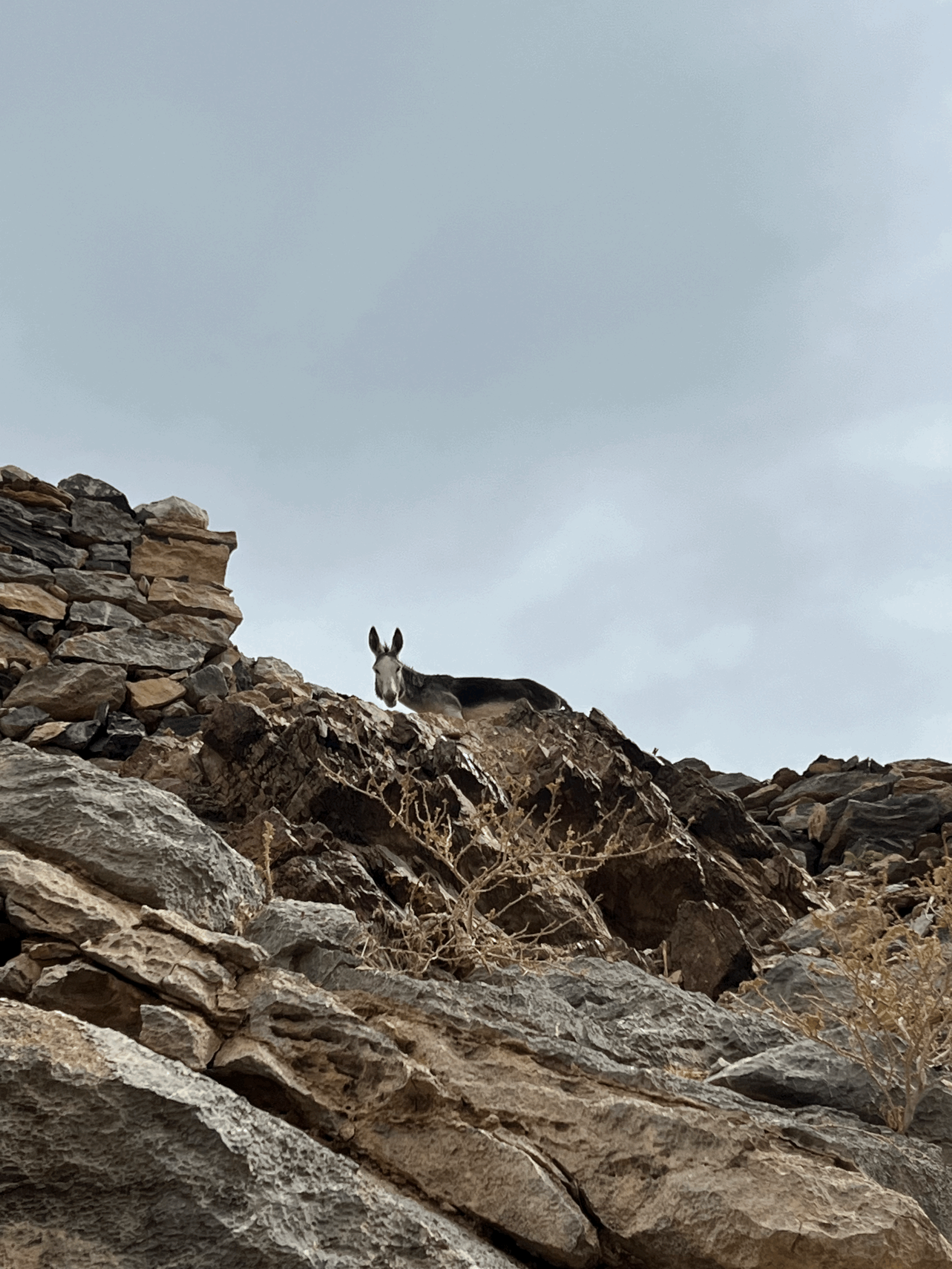 Land Secrets In Oman